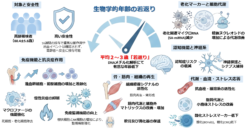 画像に alt 属性が指定されていません。ファイル名: image-1.png